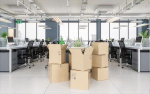 Office-Removals1